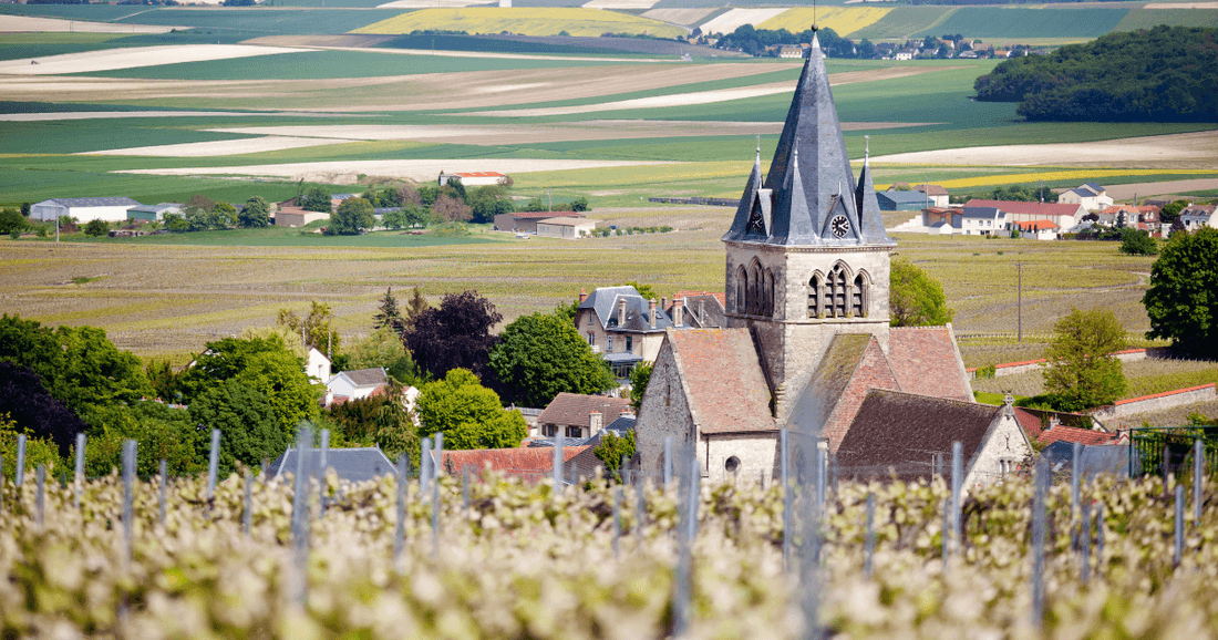Top Champagne Houses in France: A Complete Guide