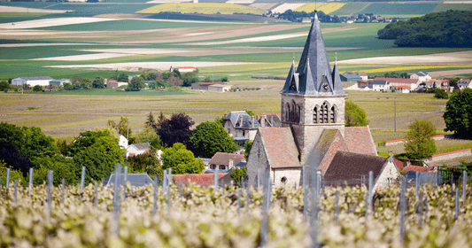 Top Champagne Houses in France: A Complete Guide